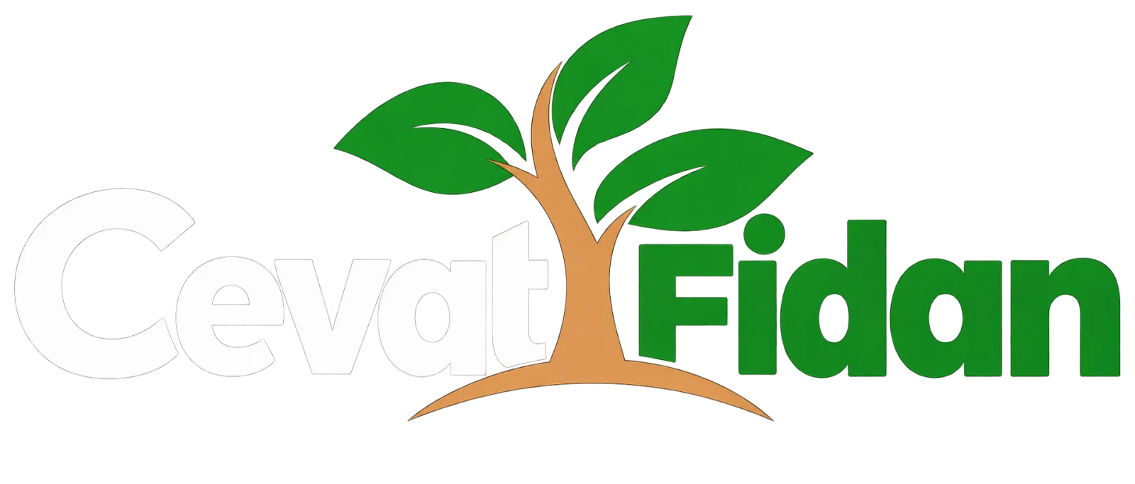 Cevat Fidan